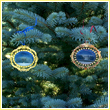 Click Here to find out more information on purchasing a 2010 White House North Portico Ornament.