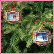 The Official 2011 White House Bulk Ornament Gift Set