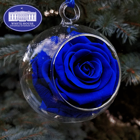 The Constellation White House Rose Garden Ornament