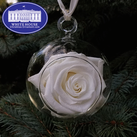 The Glory White House Rose Garden Ornament