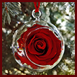 The Scarlet White House Rose Garden Ornament