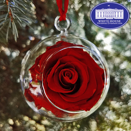 The Scarlet White House Rose Garden Ornament