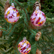 Cherry Blossom Set of Three Glass Ornaments