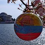 2014 Official Cherry Blossom Ornament