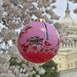 Official 2025 National Cherry Blossom Festival Ornament