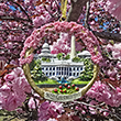 Washington DC Cherry Blossom Ceramic Wreath Ornament